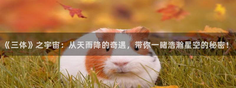 动漫岛官方正版免费下载