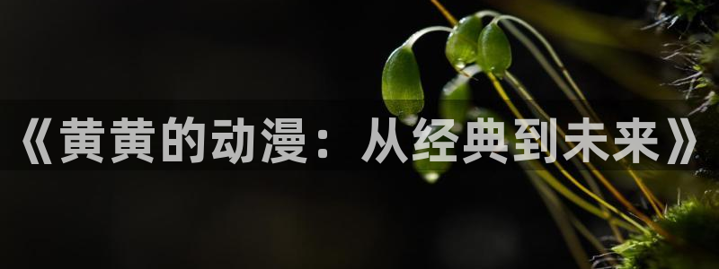 动漫岛专注动漫的门户网站：《黄黄的动漫：从经典到未来》
