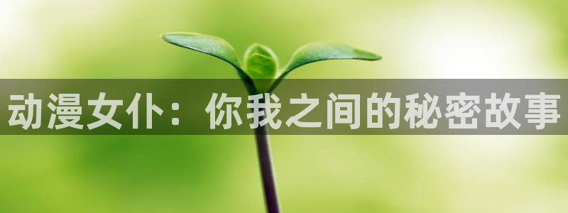 动漫岛网：动漫女仆：你我之间的秘密故事