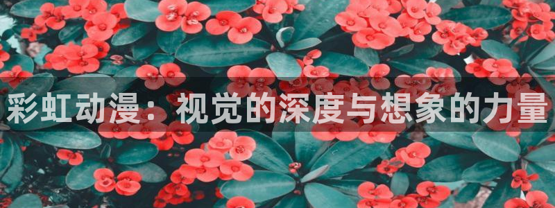 出包王女动漫岛：彩虹动漫：视觉的深度与想象的力量